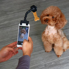 Load image into Gallery viewer, Pet Photography Tool Cat Dog And Dog Viewing Lens Teddy Camera Toy Mobile Phone Camera Holder Selfie Clip Supplies Pet Products