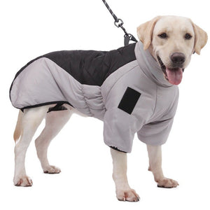 Waterproof winter dog coat