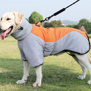 Waterproof winter dog coat