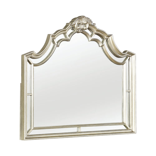 COASTER HEIDI METALLIC PLATINUM ARCHED MIRROR