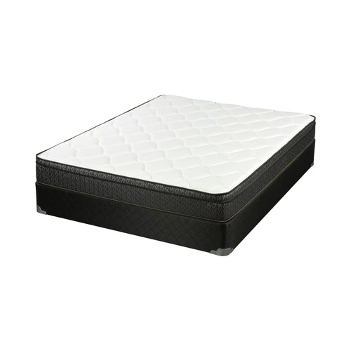 COASTER BEDROOM EVIE 9.25″ FULL MATTRESS WHITE AND BLACK