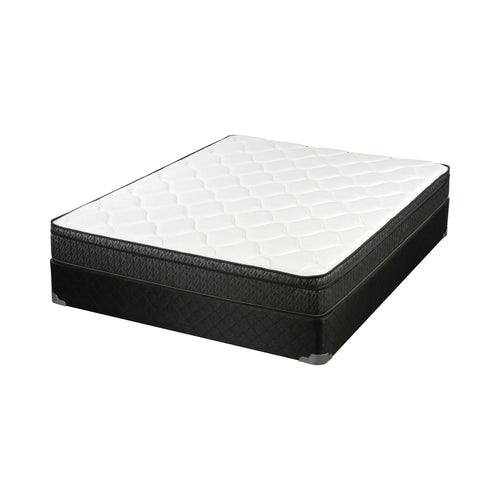 COASTER BEDROOM EVIE QUEEN MATTRESS WHITE AND BLACK