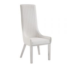 ACME GIANNA IVORY PU & STAINLESS STEEL DINING CHAIR (SET-2)